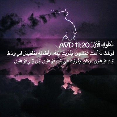 Picture 02 - اَلْمُلُوكِ ٱلْأَوَّلُ 11:20 AVD - فَوَلَدَتْ لَهُ أُخْتُ - Bible Verse Picture