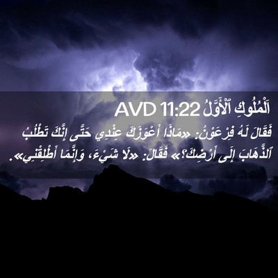 Picture 02 - اَلْمُلُوكِ ٱلْأَوَّلُ 11:22 AVD - فَقَالَ لَهُ فِرْعَوْنُ: - Bible Verse Picture