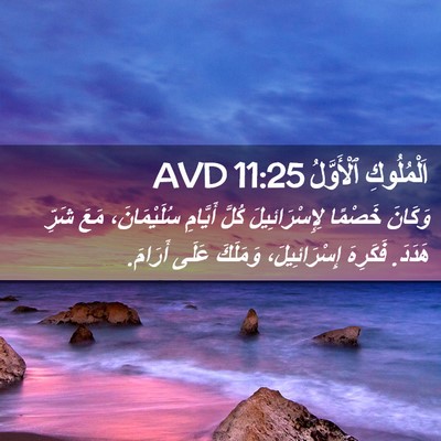 Picture 02 - اَلْمُلُوكِ ٱلْأَوَّلُ 11:25 AVD - وَكَانَ خَصْمًا - Bible Verse Picture
