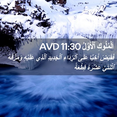 Picture 02 - اَلْمُلُوكِ ٱلْأَوَّلُ 11:30 AVD - فَقَبَضَ أَخِيَّا عَلَى - Bible Verse Picture