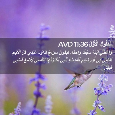Picture 02 - اَلْمُلُوكِ ٱلْأَوَّلُ 11:36 AVD - وَأُعْطِي ٱبْنَهُ سِبْطًا - Bible Verse Picture