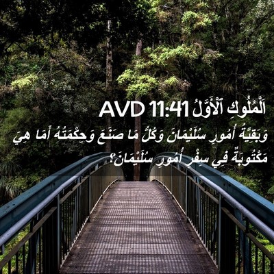 Picture 02 - اَلْمُلُوكِ ٱلْأَوَّلُ 11:41 AVD - وَبَقِيَّةُ أُمُورِ - Bible Verse Picture