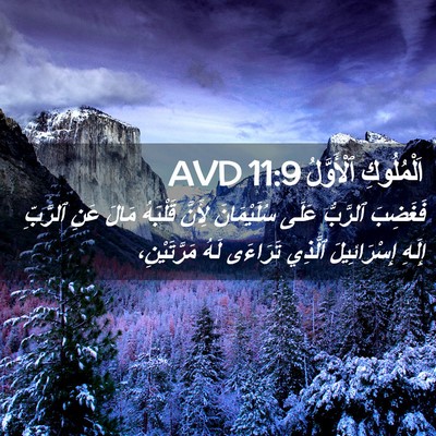 Picture 02 - اَلْمُلُوكِ ٱلْأَوَّلُ 11:9 AVD - فَغَضِبَ ٱلرَّبُّ عَلَى - Bible Verse Picture