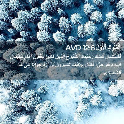 Picture 02 - اَلْمُلُوكِ ٱلْأَوَّلُ 12:6 AVD - فَٱسْتَشَارَ ٱلْمَلِكُ - Bible Verse Picture