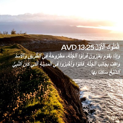 Picture 02 - اَلْمُلُوكِ ٱلْأَوَّلُ 13:25 AVD - وَإِذَا بِقَوْمٍ - Bible Verse Picture