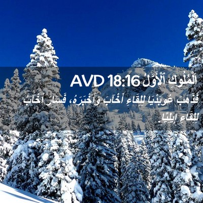 Picture 02 - اَلْمُلُوكِ ٱلْأَوَّلُ 18:16 AVD - فَذَهَبَ عُوبَدْيَا - Bible Verse Picture