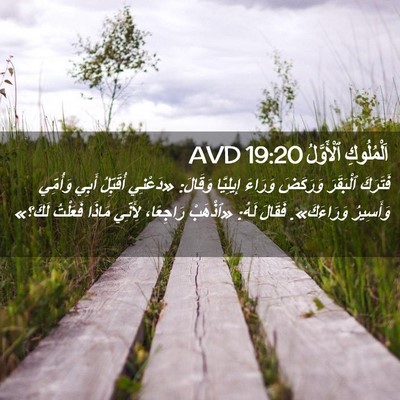 Picture 02 - اَلْمُلُوكِ ٱلْأَوَّلُ 19:20 AVD - فَتَرَكَ ٱلْبَقَرَ - Bible Verse Picture