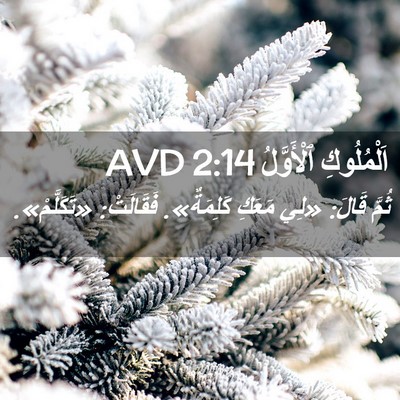 Picture 02 - اَلْمُلُوكِ ٱلْأَوَّلُ 2:14 AVD - ثُمَّ قَالَ: «لِي مَعَكِ - Bible Verse Picture