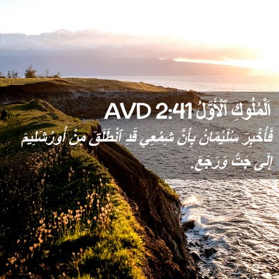 Picture 02 - اَلْمُلُوكِ ٱلْأَوَّلُ 2:41 AVD - فَأُخْبِرَ سُلَيْمَانُ - Bible Verse Picture