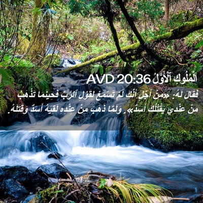 Picture 02 - اَلْمُلُوكِ ٱلْأَوَّلُ 20:36 AVD - فَقَالَ لَهُ: «مِنْ أَجْلِ - Bible Verse Picture