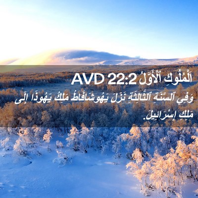 Picture 02 - اَلْمُلُوكِ ٱلْأَوَّلُ 22:2 AVD - وَفِي ٱلسَّنَةِ - Bible Verse Picture
