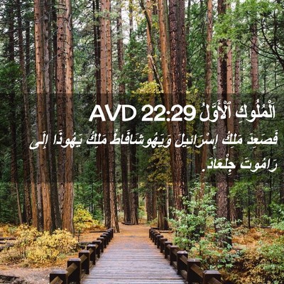 Picture 02 - اَلْمُلُوكِ ٱلْأَوَّلُ 22:29 AVD - فَصَعِدَ مَلِكُ - Bible Verse Picture