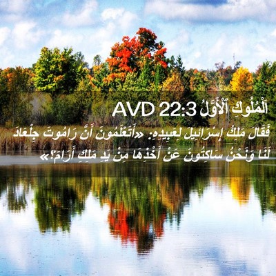 Picture 02 - اَلْمُلُوكِ ٱلْأَوَّلُ 22:3 AVD - فَقَالَ مَلِكُ - Bible Verse Picture