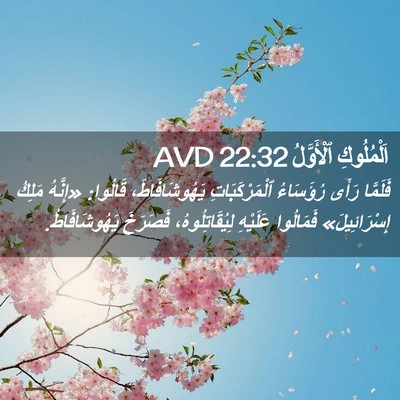 Picture 02 - اَلْمُلُوكِ ٱلْأَوَّلُ 22:32 AVD - فَلَمَّا رَأَى رُؤَسَاءُ - Bible Verse Picture