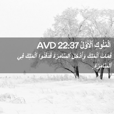 Picture 02 - اَلْمُلُوكِ ٱلْأَوَّلُ 22:37 AVD - فَمَاتَ ٱلْمَلِكُ - Bible Verse Picture