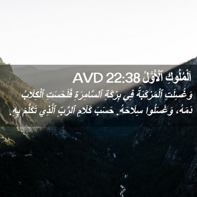 Picture 02 - اَلْمُلُوكِ ٱلْأَوَّلُ 22:38 AVD - وَغُسِلَتِ ٱلْمَرْكَبَةُ - Bible Verse Picture