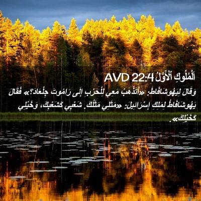 Picture 02 - اَلْمُلُوكِ ٱلْأَوَّلُ 22:4 AVD - وَقَالَ لِيَهُوشَافَاطَ: - Bible Verse Picture