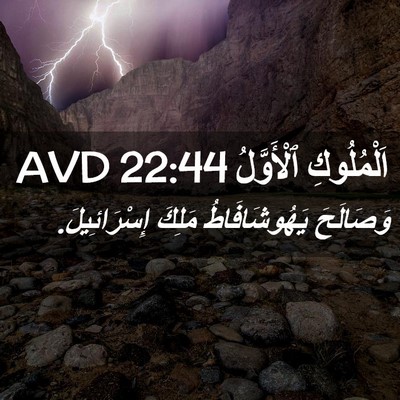 Picture 02 - اَلْمُلُوكِ ٱلْأَوَّلُ 22:44 AVD - وَصَالَحَ يَهُوشَافَاطُ - Bible Verse Picture