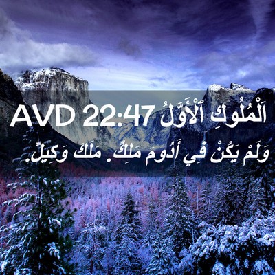 Picture 02 - اَلْمُلُوكِ ٱلْأَوَّلُ 22:47 AVD - وَلَمْ يَكُنْ فِي أَدُومَ - Bible Verse Picture