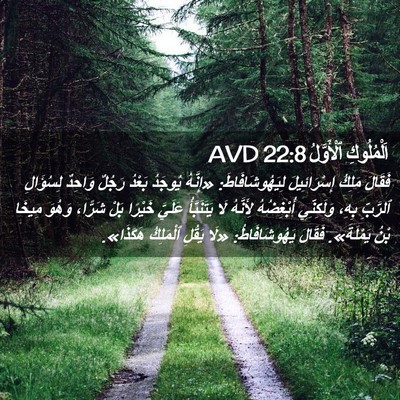Picture 02 - اَلْمُلُوكِ ٱلْأَوَّلُ 22:8 AVD - فَقَالَ مَلِكُ - Bible Verse Picture