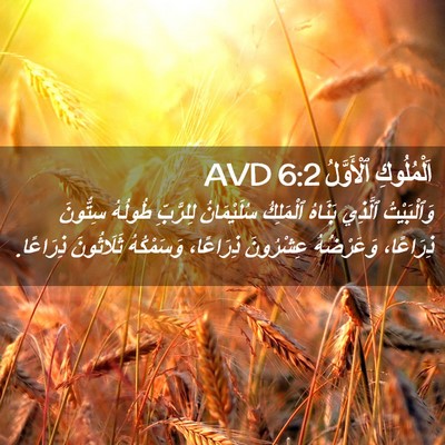 Picture 02 - اَلْمُلُوكِ ٱلْأَوَّلُ 6:2 AVD - وَٱلْبَيْتُ ٱلَّذِي - Bible Verse Picture