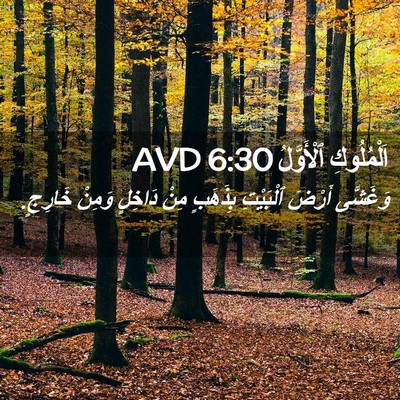 Picture 02 - اَلْمُلُوكِ ٱلْأَوَّلُ 6:30 AVD - وَغَشَّى أَرْضَ ٱلْبَيْتِ - Bible Verse Picture
