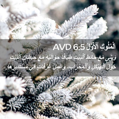 Picture 02 - اَلْمُلُوكِ ٱلْأَوَّلُ 6:5 AVD - وَبَنَى مَعَ حَائِطِ - Bible Verse Picture