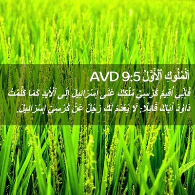 Picture 02 - اَلْمُلُوكِ ٱلْأَوَّلُ 9:5 AVD - فَإِنِّي أُقِيمُ - Bible Verse Picture
