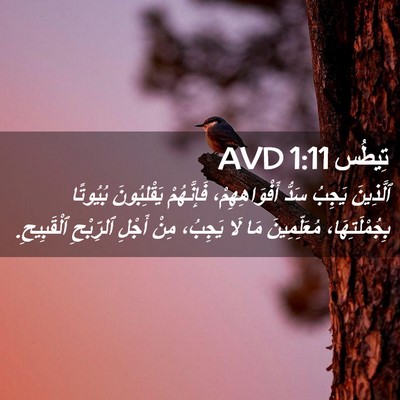 Picture 02 - تِيطُس 1:11 AVD - ٱلَّذِينَ يَجِبُ سَدُّ - Bible Verse Picture