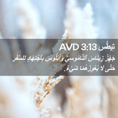 Picture 02 - تِيطُس 3:13 AVD - جَهِّزْ زِينَاسَ - Bible Verse Picture