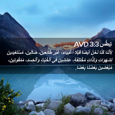 Picture 02 - تِيطُس 3:3 AVD - لِأَنَّنَا كُنَّا نَحْنُ - Bible Verse Picture