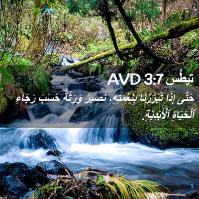 Picture 02 - تِيطُس 3:7 AVD - حَتَّى إِذَا تَبَرَّرْنَا - Bible Verse Picture