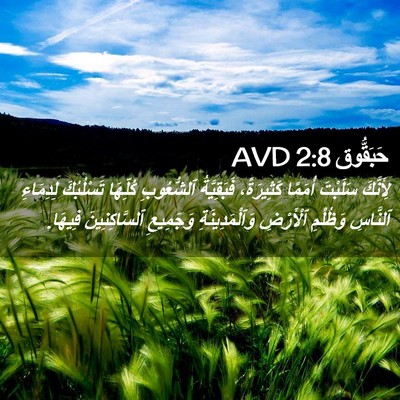 Picture 02 - حَبَقُّوق 2:8 AVD - لِأَنَّكَ سَلَبْتَ - Bible Verse Picture
