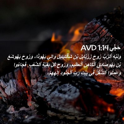 Picture 02 - حَجَّي 1:14 AVD - وَنَبَّهَ ٱلرَّبُّ رُوحَ - Bible Verse Picture