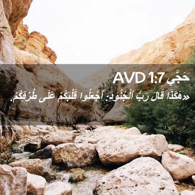 Picture 02 - حَجَّي 1:7 AVD - «هَكَذَا قَالَ رَبُّ - Bible Verse Picture