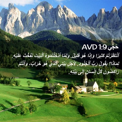 Picture 02 - حَجَّي 1:9 AVD - ٱنْتَظَرْتُمْ كَثِيرًا - Bible Verse Picture