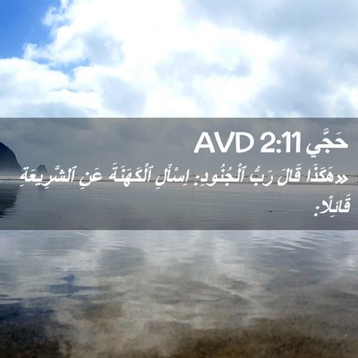 Picture 02 - حَجَّي 2:11 AVD - «هَكَذَا قَالَ رَبُّ - Bible Verse Picture