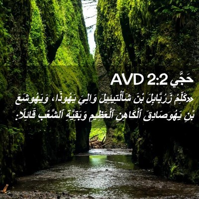Picture 02 - حَجَّي 2:2 AVD - «كَلِّمْ زَرُبَّابِلَ - Bible Verse Picture