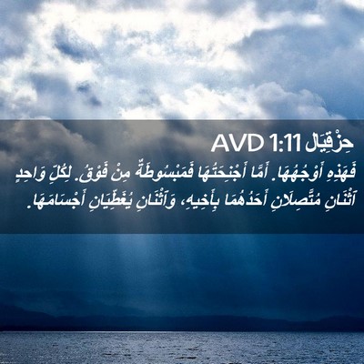 Picture 02 - حِزْقِيَال 1:11 AVD - فَهَذِهِ أَوْجُهُهَا. - Bible Verse Picture