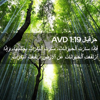 Picture 02 - حِزْقِيَال 1:19 AVD - فَإِذَا سَارَتِ - Bible Verse Picture