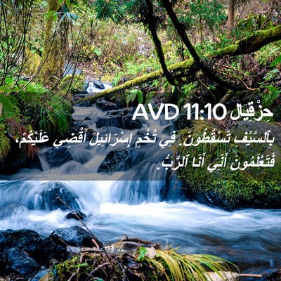 Picture 02 - حِزْقِيَال 11:10 AVD - بِٱلسَّيْفِ تَسْقُطُونَ. - Bible Verse Picture