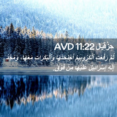 Picture 02 - حِزْقِيَال 11:22 AVD - ثُمَّ رَفَعَتِ - Bible Verse Picture