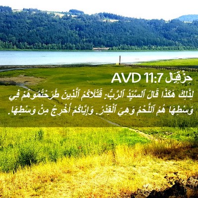 Picture 02 - حِزْقِيَال 11:7 AVD - لِذَلِكَ هَكَذَا قَالَ - Bible Verse Picture