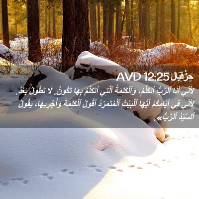 Picture 02 - حِزْقِيَال 12:25 AVD - لِأَنِّي أَنَا ٱلرَّبُّ - Bible Verse Picture