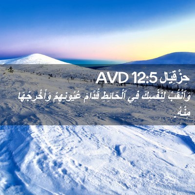 Picture 02 - حِزْقِيَال 12:5 AVD - وَٱنْقُبْ لِنَفْسِكَ فِي - Bible Verse Picture