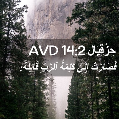 Picture 02 - حِزْقِيَال 14:2 AVD - فَصَارَتْ إِلَيَّ - Bible Verse Picture