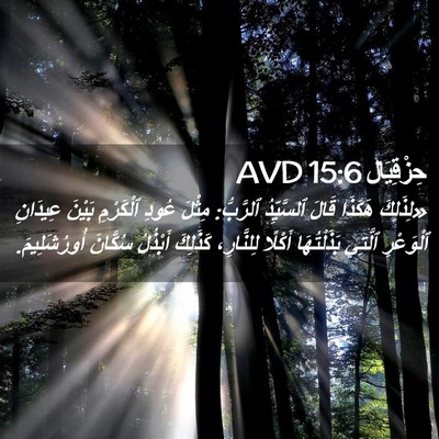Picture 02 - حِزْقِيَال 15:6 AVD - «لِذَلِكَ هَكَذَا قَالَ - Bible Verse Picture