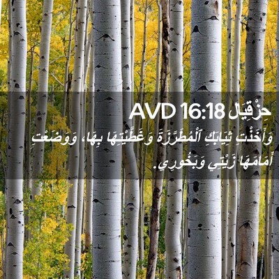 Picture 02 - حِزْقِيَال 16:18 AVD - وَأَخَذْتِ ثِيَابَكِ - Bible Verse Picture