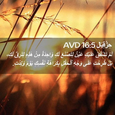 Picture 02 - حِزْقِيَال 16:5 AVD - لَمْ تَشْفُقْ عَلَيْكِ - Bible Verse Picture