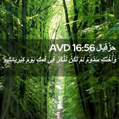 Picture 02 - حِزْقِيَال 16:56 AVD - وَأُخْتُكِ سَدُومُ لَمْ - Bible Verse Picture